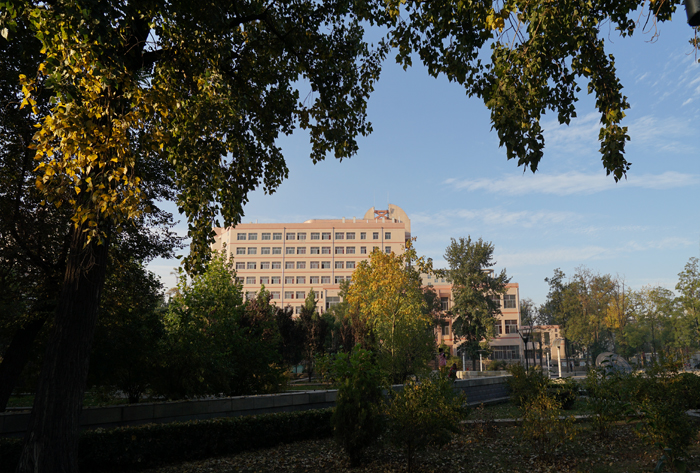 DSC00378--1.jpg