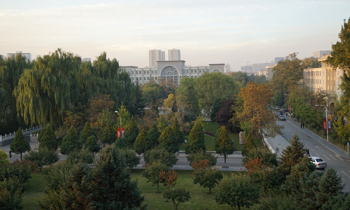 DSC00395--1.jpg
